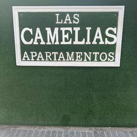 Yumbo Appartamenti Las Camelias Playa Del Ingles Exteriér fotografie